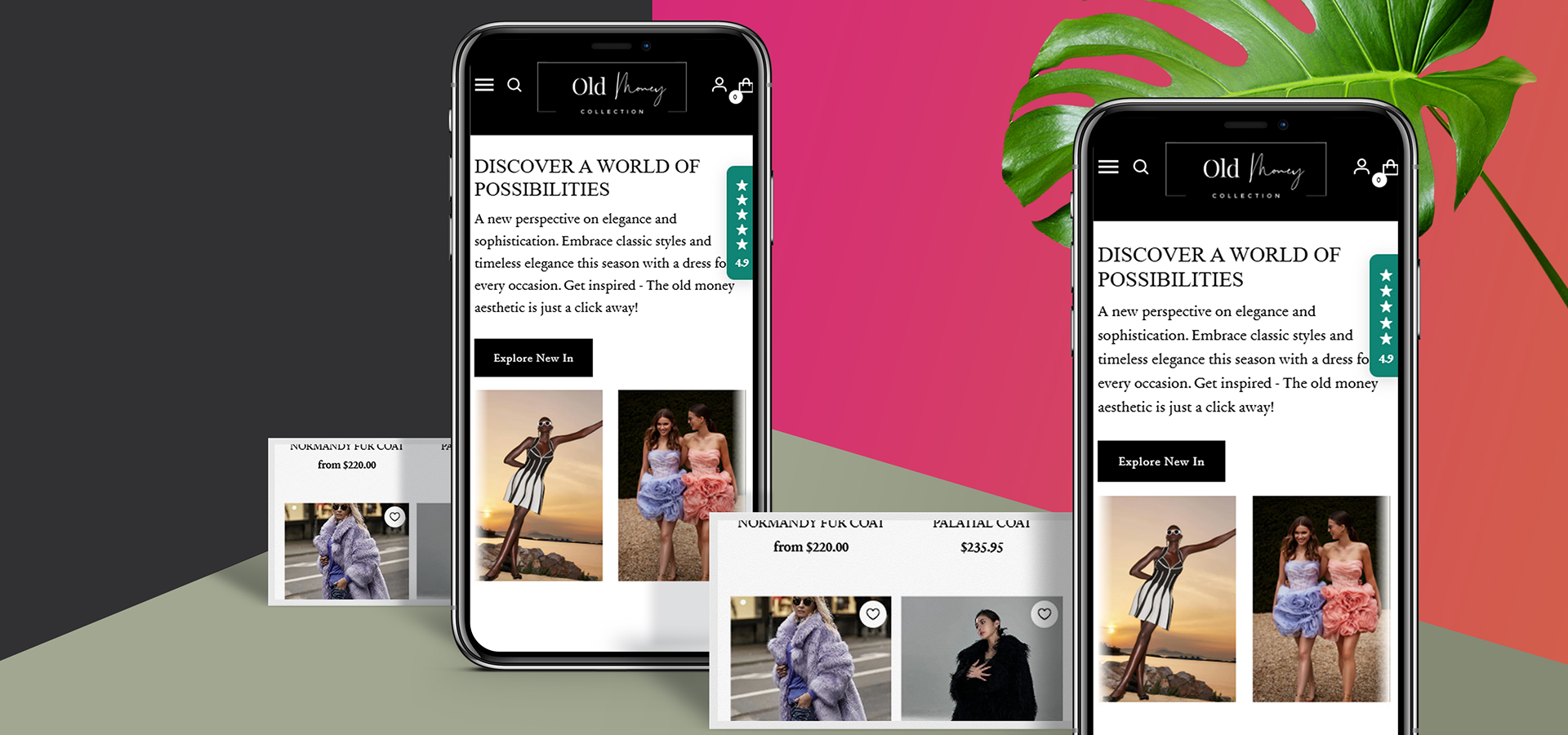 Flutter-Powered Mobile Solutions