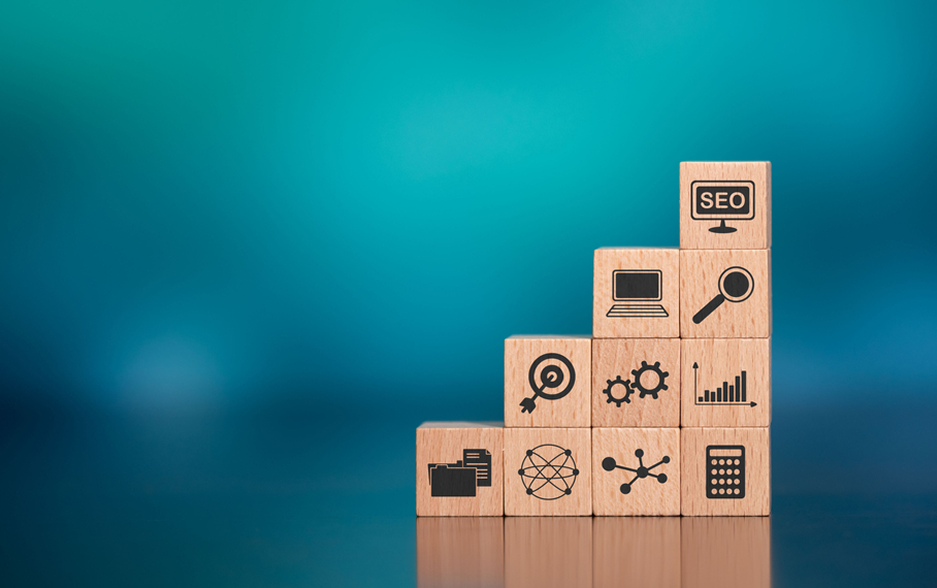 Expert SEO Support That Delivers