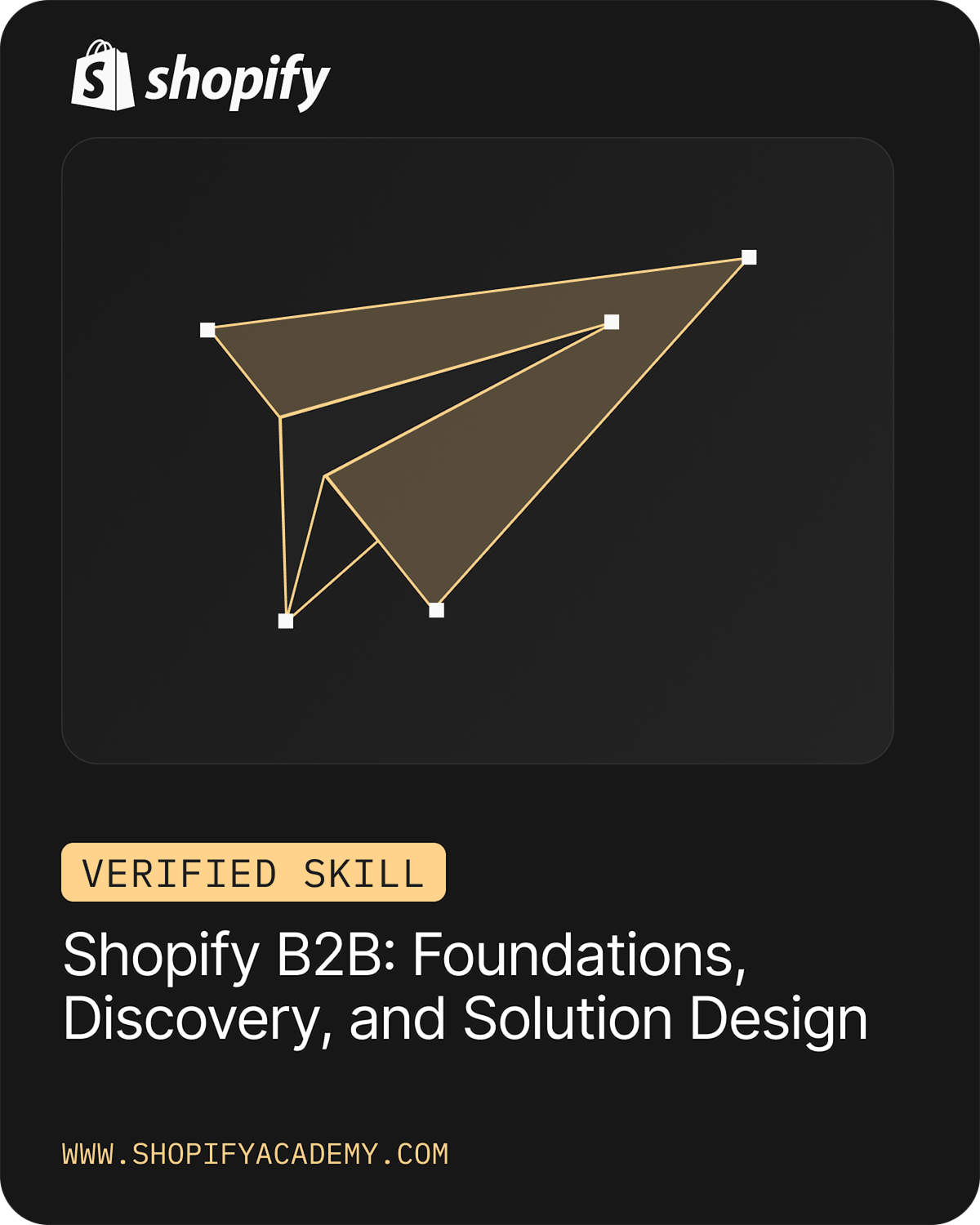 Shopify B2B Foundations Discovery and Solution Design